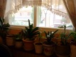 Foto38