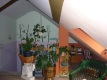 Foto21