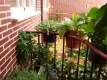 Foto10