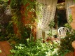 Foto9
