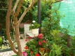 Foto8