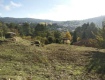 Foto6