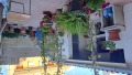 Foto39