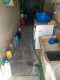 Foto13