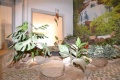 Foto9