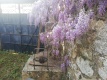 Foto7