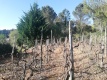 Foto3