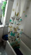 Foto57
