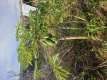 Foto6
