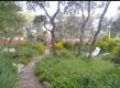 Foto6