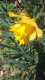Foto33