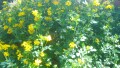Foto21