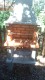 Foto20