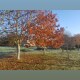 Foto5