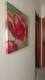 Foto9