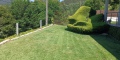 Foto5