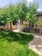 Foto3