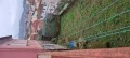 Foto5