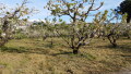 Foto5