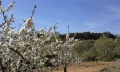 Foto21