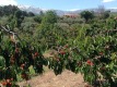 Foto2