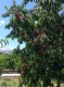 Foto15