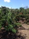 Foto9