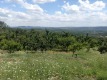 Foto8