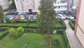 Foto1