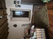 Foto5