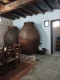 Foto6