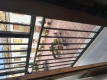 Foto5