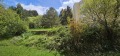 Foto6
