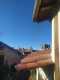 Foto3