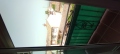 Foto1