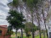 Foto32
