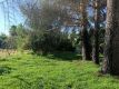 Foto35