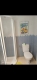 Foto13
