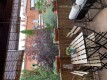Foto5