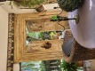Foto10