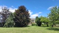Foto11