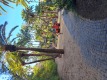 Foto35