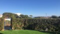 Foto1