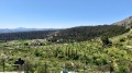 Foto6