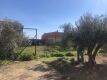 Foto8