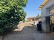 Foto5