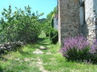 Foto13