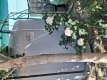 Foto8