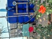 Foto9