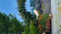 Foto9